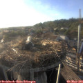 18_55-nest.jpg