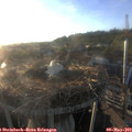 19_40-nest.jpg