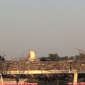 20_05-mast.jpg