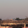 20_25-mast.jpg