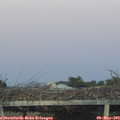 20_45-mast.jpg