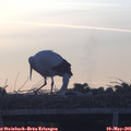 06_00-mast.jpg