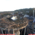 06_05-nest.jpg