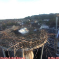 06_10-nest.jpg