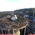 06_15-nest.jpg