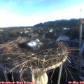 06_25-nest.jpg