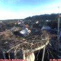 06_30-nest.jpg