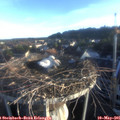 06_35-nest.jpg
