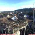 06_40-nest.jpg