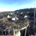 06_45-nest.jpg