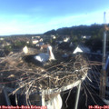 06_50-nest.jpg