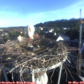 07_00-nest.jpg