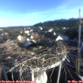 07_05-nest.jpg