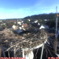 07_10-nest.jpg