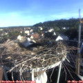 07_20-nest.jpg