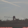 07_25-mast.jpg