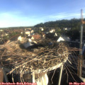 07_25-nest.jpg