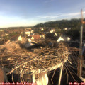 07_35-nest.jpg