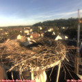 07_40-nest.jpg