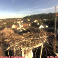 07_45-nest.jpg