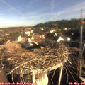 07_55-nest.jpg