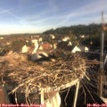 08_00-nest.jpg