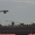 08_40-mast.jpg