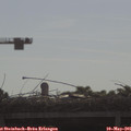 08_55-mast.jpg