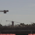 09_00-mast.jpg
