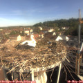 09_00-nest.jpg