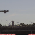 09_05-mast.jpg