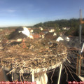 09_20-nest.jpg