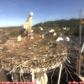 09_30-nest.jpg