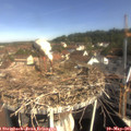 09_35-nest.jpg