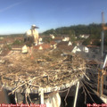 09_50-nest.jpg