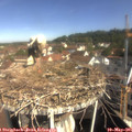 09_55-nest.jpg