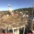 10_00-nest.jpg