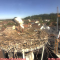 10_05-nest.jpg