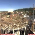 10_25-nest.jpg