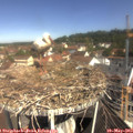 10_40-nest.jpg