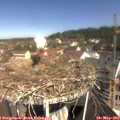 10_45-nest.jpg