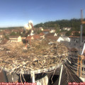 10_50-nest.jpg