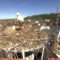 10_55-nest.jpg