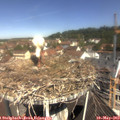11_00-nest.jpg
