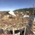 11_10-nest.jpg