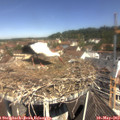 11_20-nest.jpg