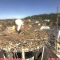 11_25-nest.jpg