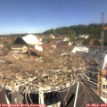 11_30-nest.jpg