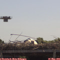 11_35-mast.jpg