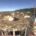 11_35-nest.jpg